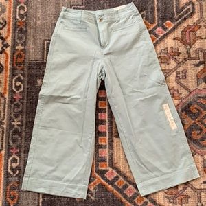 ‘A New Day’ wide leg crop pants from Target. Color: Sea foam green.